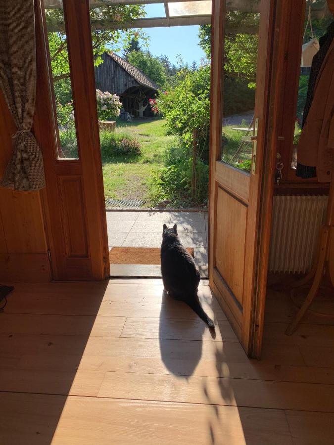 Le Manoir Des Sens - Foret De Bergheim Eksteriør billede