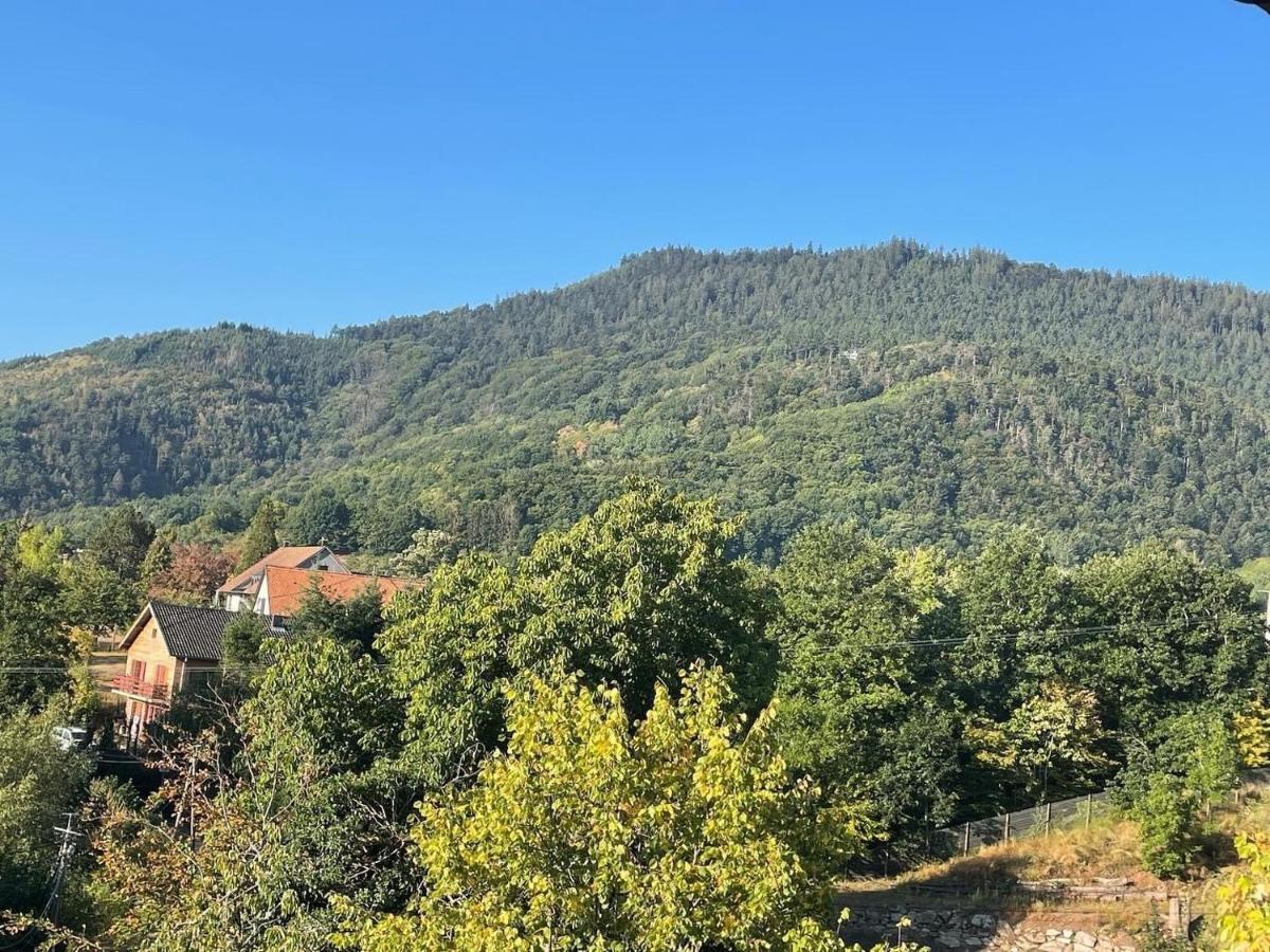 Le Manoir Des Sens - Foret De Bergheim Eksteriør billede