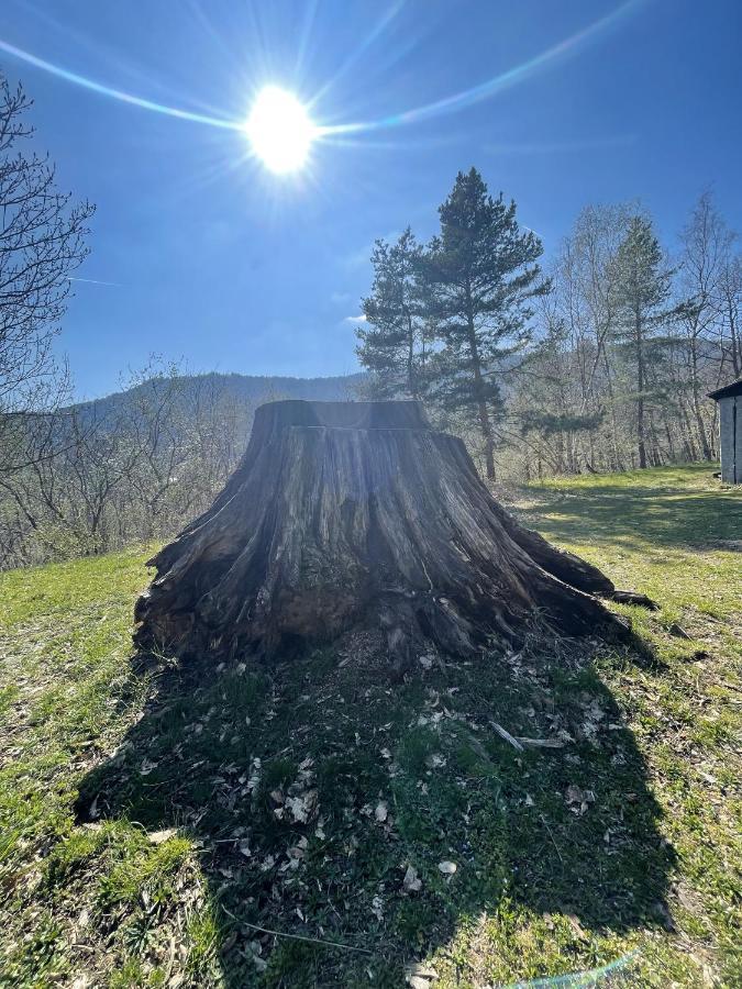 Le Manoir Des Sens - Foret De Bergheim Eksteriør billede